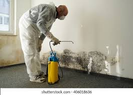 Best Mold Removal for HVAC Installations  in USA